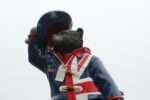bear-4550249_1280