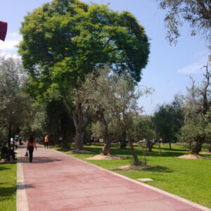 caminata-el-olivar