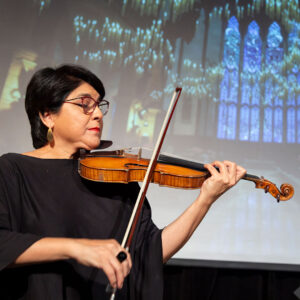 harry-potter-in-concert